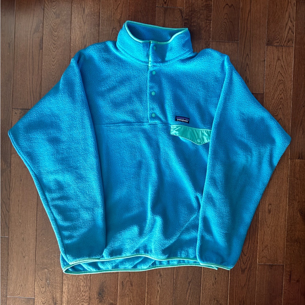 Patagonia Synchilla Blue Fleece - Large